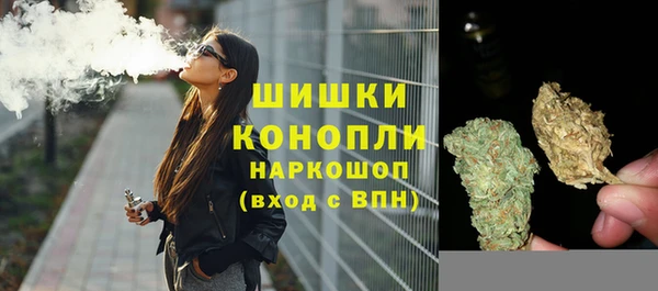 сатива Балабаново