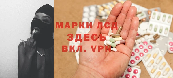 индика Баксан