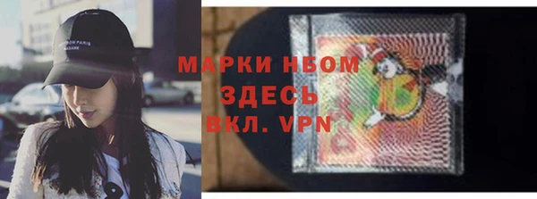 индика Баксан