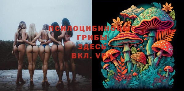гидропоника Балахна