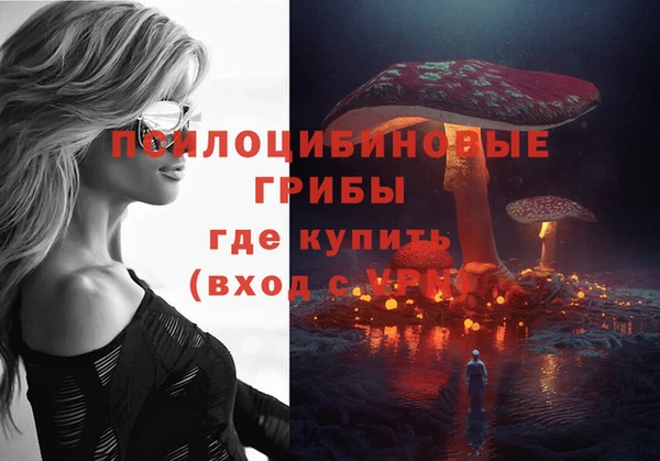 гидропоника Балахна