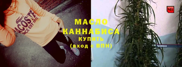 индика Баксан