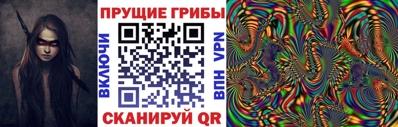 Псилоцибиновые грибы Psilocybe Волосово
