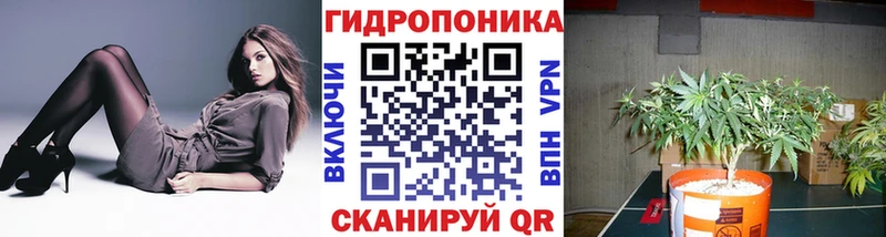 Конопля индика kraken сайт Волосово